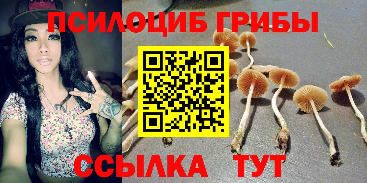 Меф МЯУ МЯУ  Экстази  A PVP СК кристаллы  Вход с VPN  Метамфетамин  МЕФ кристаллы  Крымск  Гашиш 
