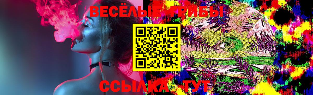 Галлюциногенные грибы Cubensis  как найти   Крымск  Вход с VPN 